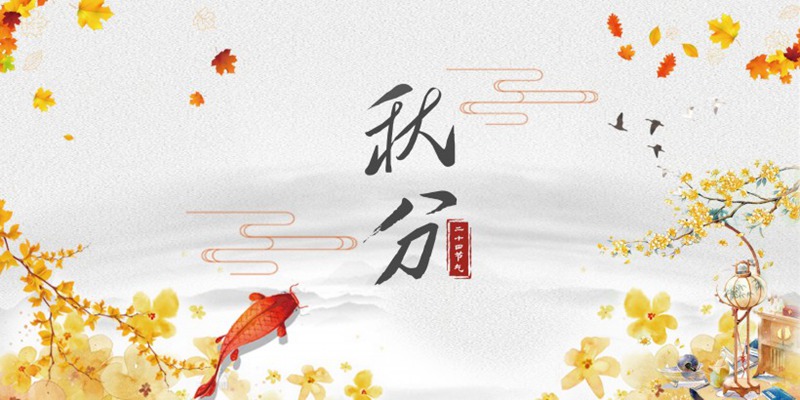 杭州游玩 关于清明节的作文300字