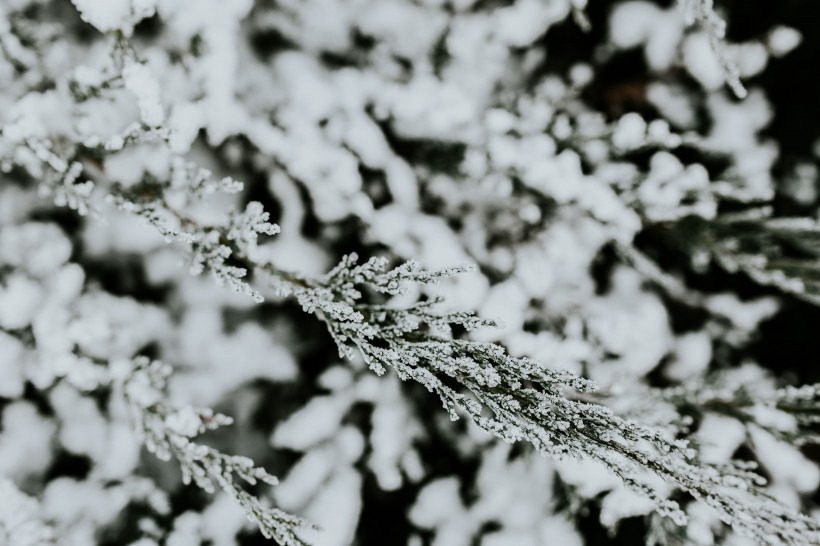 冬日·雪-美丽的雪景作文400字
